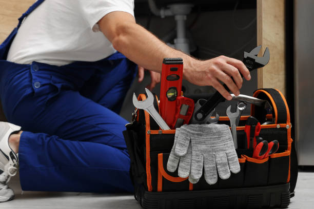 Best Clogged Drain Plumber  in Lake Station, IN